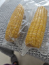 【东东农场专供】正宗头茬东北新鲜糯玉米软糯拉丝真空包装早餐 黄糯玉米2支*150g+ 实拍图