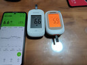 鱼跃550血糖仪医用家用指尖检测背光大屏 【仪器+100试纸+100采血针】 实拍图