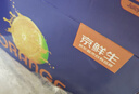 京鲜生 云南哀牢山冰糖橙/橙子 5斤装 单果170-260g 生鲜水果年货礼盒 实拍图