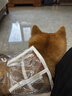 Lanswood 狗狗雨衣中大型犬宠物雨衣泰迪柴犬小型犬柯基金毛雨披防水透明 白边透明雨衣 2XL(建议21-27斤背长40cm） 实拍图