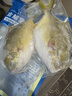 翔泰 海南金鲳鱼净重900g 2条装  年货节鱼类生鲜 火锅食材 海鲜水产  实拍图