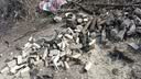 亚特（YAT）电锯家用16寸大功率220V电链锯手持电动锯木工家用电链锯劈柴锯 实拍图