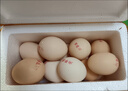 京喜加 谷物喂养初产新鲜鸡蛋40g正负5g生鲜超市买菜早餐土鸡蛋草鸡蛋 40枚富硒鸡蛋50g 实拍图