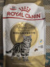 皇家猫粮 美短成猫粮 ASA31 通用粮 12月以上 2KG 实拍图