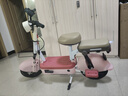 聚澳新国标可上牌电瓶车成人电动自行车48V锂电小型电瓶车男女代步车长续航雅迪爱玛同款正品电池 粉色【品牌电池全国联保】 48V12A石墨烯电池续航约100里 实拍图