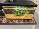 米家小米米家智能生态鱼缸还原自然生态补仓一次三月无忧出差旅行必备 实拍图