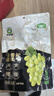 跳跳熊新疆绿香妃葡萄干258g 即食果干免洗大颗粒提子特产休闲零食 实拍图