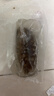 晓芹大连即食海参3斤35-50只 固形物≥75% 辽刺参 海鲜水产 年货 实拍图