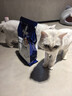 东方澳龙肠胃处方猫粮肠道全价猫粮猫胃肠道猫粮便秘成幼处方猫粮1.2kg 实拍图