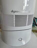 戴森（DYSON）AM09无叶凉暖风扇 取暖器凉风扇二合一 四季适用 快速加热 家用凉暖风机 白镍色 实拍图