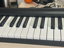 特伦斯电子琴88键折叠琴成人儿童初学电钢键盘教学乐器V10便携钢琴 典雅黑+原装琴包 实拍图