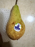 京鲜生 荷兰啤梨7斤礼盒装软糯香甜 单果130g-170g 源头直发 一件包邮 实拍图