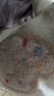 戴维贝拉（DAVE＆BELLA）儿童雪尼尔毛衣男女童宝宝秋冬季套头针织衫男童 实拍图
