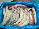 鲜京采野生海捕对虾 净重3斤/盒 30-45只/盒 实拍图
