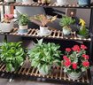 哈骆顿（HALODN）花架阳台花架置物架客厅花盆架室内花架子户外阳台多层落地式盆景 带滚轮3层花架黑（80*40*104） 【层高可调】 实拍图