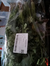 带根香菜100g 实拍图