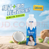 欢乐家椰子汁1L*6瓶 杨幂代言 果肉+椰汁植物蛋白饮料 果汁年货礼盒 实拍图