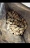 三只松鼠蒜香花生500g/袋 坚果炒货带壳炒制干果即食休闲零食品小吃 实拍图