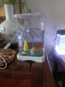 燕之雁 桌面斗鱼缸 微景观鱼缸 迷你水族箱 LED氛围灯+造景+盖+托盘 实拍图