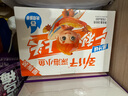 劲仔深海小鱼休闲零食鱼仔海味小吃小鱼干 酱汁+卤香 600g 实拍图