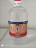 泸州老窖泸州红高粱酒 52度5L浓香型桶装散酒纯粮食白酒 泡药酒泡杨梅用酒 实拍图