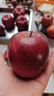 京鲜生 甘肃天水花牛苹果 又大又红 净重10斤 单果200g以上 新鲜水果  实拍图