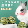 洁西 兔子磨牙草球玩具三个装 兔子磨牙草球草编球龙猫豚鼠零食用品 实拍图