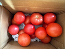 正宗攀枝花沙瓤西红柿露天生吃粉果番茄新鲜采摘非普罗旺斯西红柿 净重中果【80-120克】 5斤 实拍图