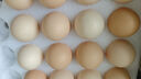 1号会员店 可生食标准鲜鸡蛋30枚 净重3斤 1号会员店自有品牌  源头直发 实拍图