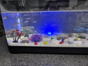 阔庭（KUOTING）鱼缸桌面透明生态鱼缸客厅水族箱黑色 实拍图