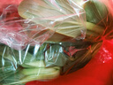 大菠菜300g 实拍图