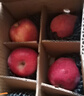 礼多果甘肃天水花牛苹果2025新鲜红蛇果老人小孩粉面水果 需要放粉 净重8.5斤 单果200g+ 实拍图