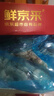 鲜京采 50/60厄瓜多尔白虾 去冰净重3.3斤 82-99只/盒 马年礼盒年货送礼 实拍图