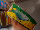 甘竹牌 豆豉鲮鱼227g*2鲮鱼罐头227g*1 海鲜罐头广州特产下饭即食 实拍图