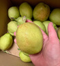 京鲜生 新疆库尔勒香梨 净重5斤 一级 单果100g-120g  生鲜水果 实拍图