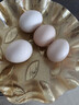 圣迪乐村谷物减胆固醇营养鲜鸡蛋30枚净重3斤礼盒装  京东自营生鲜鸡蛋 实拍图