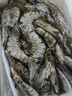 鲜京采 巨型黑虎虾 去冰净重3斤 24-30只/盒 年货送礼 年夜饭 实拍图