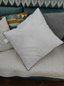 嘉诗纳抱枕芯儿内胆内芯靠垫芯正方形抱枕心沙发靠背靠枕芯 高弹棉（一只装） 55x55cm(适合50套用) 实拍图