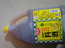 厨邦10度 葱姜汁料酒1.75L 去腥添香传统黄酒酿造 餐饮酒店实惠大桶 实拍图
