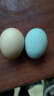 松爽润松花蛋皮蛋溏心蛋新鲜鸭蛋腌制松花皮蛋无铅变蛋湖北特产即食蛋类 10枚 60g-70g每个 大皮蛋 实拍图