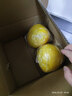 京鲜生 福建红心柚子 4粒 单果1.5-2斤 生鲜水果 实拍图