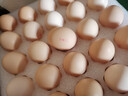 京鲜生 无抗保洁鲜鸡蛋30枚/盒 健康轻食 礼盒送礼 1.5kg/盒 源头直发 实拍图