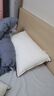 水星家纺枕头枕芯酒店枕头护颈枕头芯家用一对纯棉抗菌可水洗中枕48x74cm 实拍图