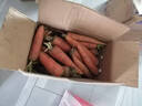 京喜加新鲜现挖现发胡萝卜农家自种蔬菜水果沙地红萝卜 带泥胡萝卜9斤 净重 含箱 实拍图