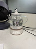 膳魔师（THERMOS） 迷你养生壶办公室煮茶器电水壶恒温电热水壶玻璃花茶壶养生杯 礼物 七夕情人节礼物 EHA-1602E-G(本白色） 0.55L 实拍图