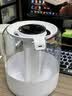 RASW【德国】加湿器家用大容量静音除菌超大雾量鼻炎空气加湿器净化一体机客厅拆洗方便母婴专用卧室 白色数显版【5L大容量丨双孔大喷雾丨净化除菌】 实拍图