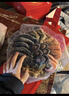 海文铭正宗佛跳墙大盆菜加热即食海参花胶虾海鲜年货礼盒家宴源头直发 实拍图