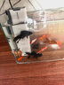 森森鱼缸过滤器三合一内置小型水族箱过滤系统增氧泵XQP-1000F 15W 实拍图