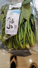 小汤山 菠菜 280g 基地直供新鲜蔬菜GAP认证 实拍图