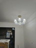 雷士（NVC）欧美轻奢水晶玻璃语音智能吊灯客厅吊灯餐厅灯灯具WHXD120F/G-01 实拍图